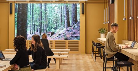 Co-working space with forest scenery