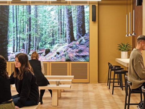 Co-working space with forest scenery